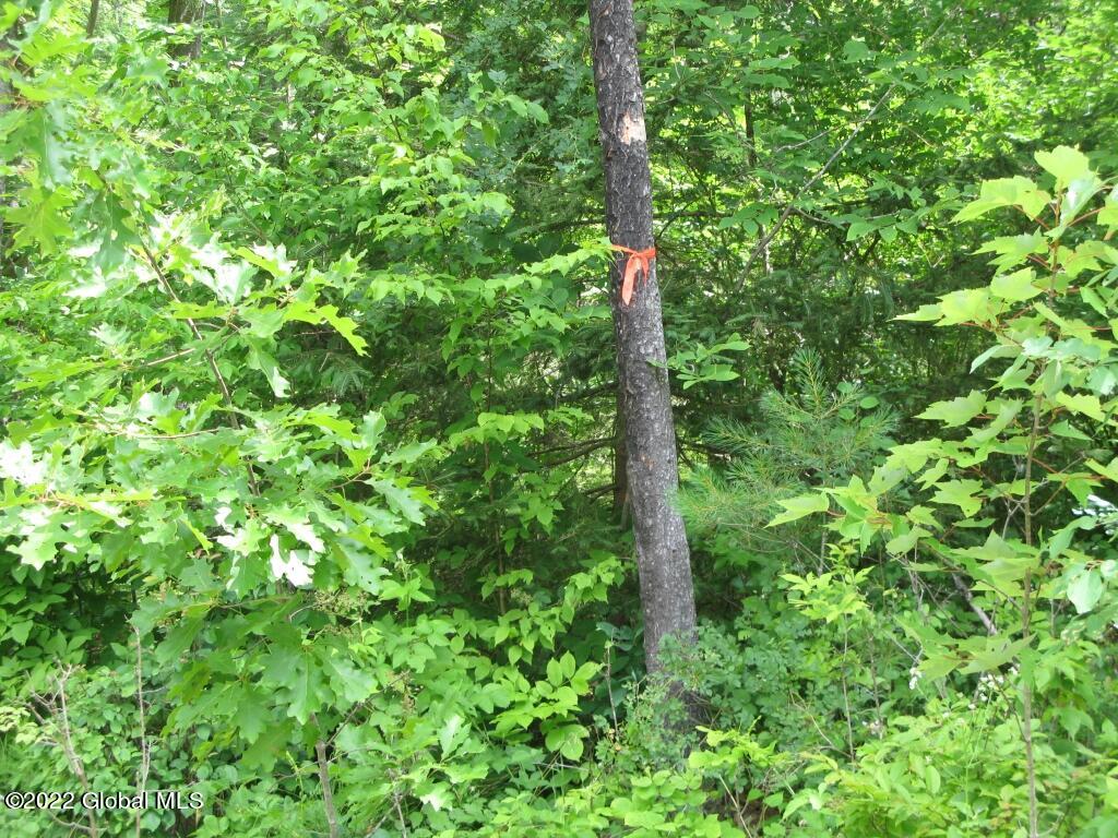 L23 Pleasant Valley Road Fultonham, NY 12071 - Photo 26 of 35 IMG_6035 (Medium)