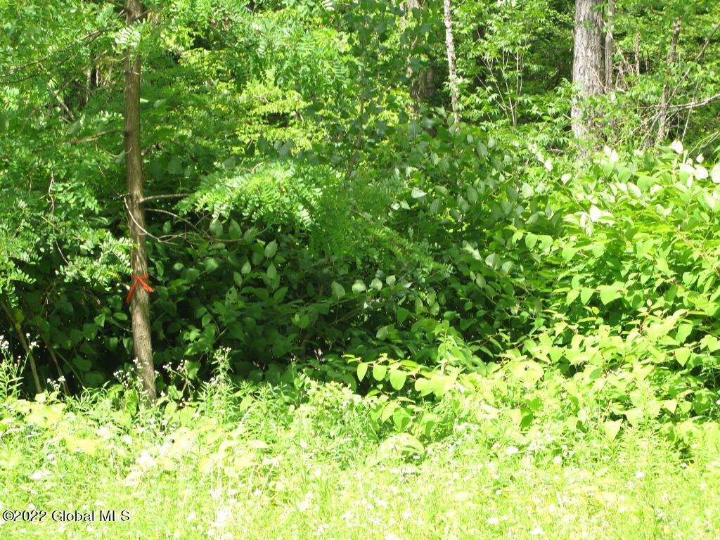 L23 Pleasant Valley Road Fultonham, NY 12071 - Photo 27 of 35 IMG_6036 (Medium)