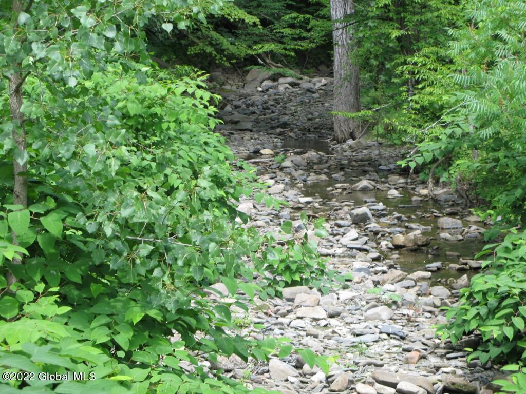 L23 Pleasant Valley Road Fultonham, NY 12071 - Photo 28 of 35 IMG_6037 (Medium)