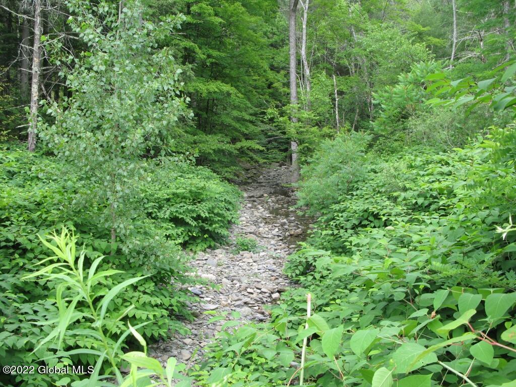 L23 Pleasant Valley Road Fultonham, NY 12071 - Photo 29 of 35 IMG_6038 (Medium)