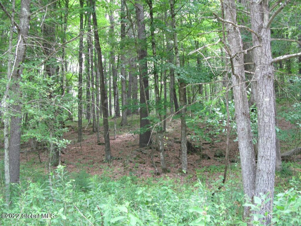 L23 Pleasant Valley Road Fultonham, NY 12071 - Photo 3 of 35 IMG_6007 (Medium)
