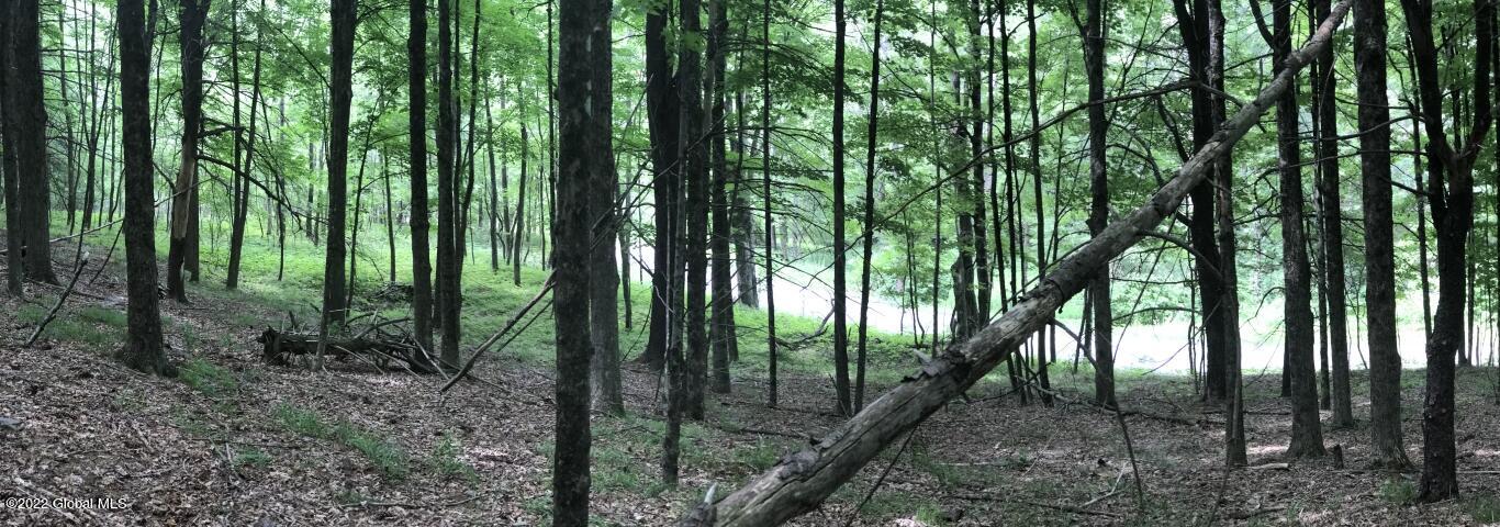 L23 Pleasant Valley Road Fultonham, NY 12071 - Photo 32 of 35 IMG_4157 (Medium)