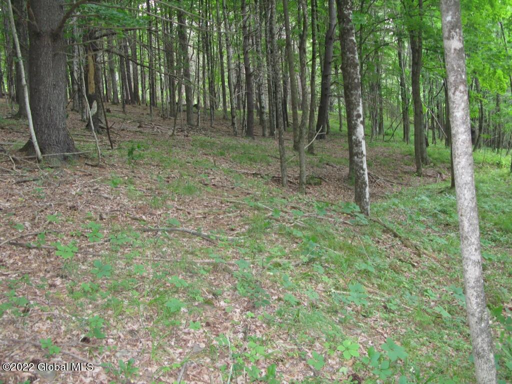 L23 Pleasant Valley Road Fultonham, NY 12071 - Photo 4 of 35 IMG_6008 (Medium)