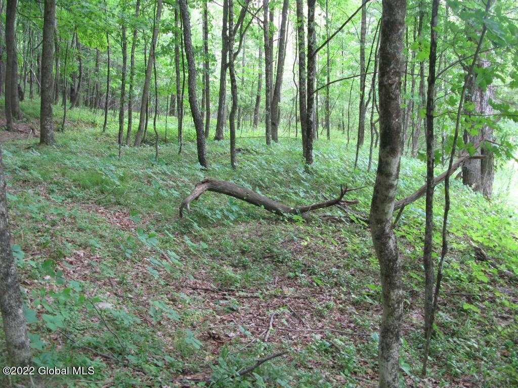 L23 Pleasant Valley Road Fultonham, NY 12071 - Photo 5 of 35 IMG_6009 (Medium)