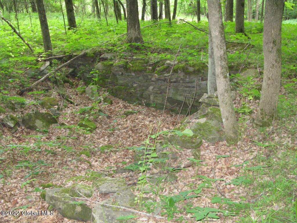 L23 Pleasant Valley Road Fultonham, NY 12071 - Photo 8 of 35 IMG_6012 (Medium)