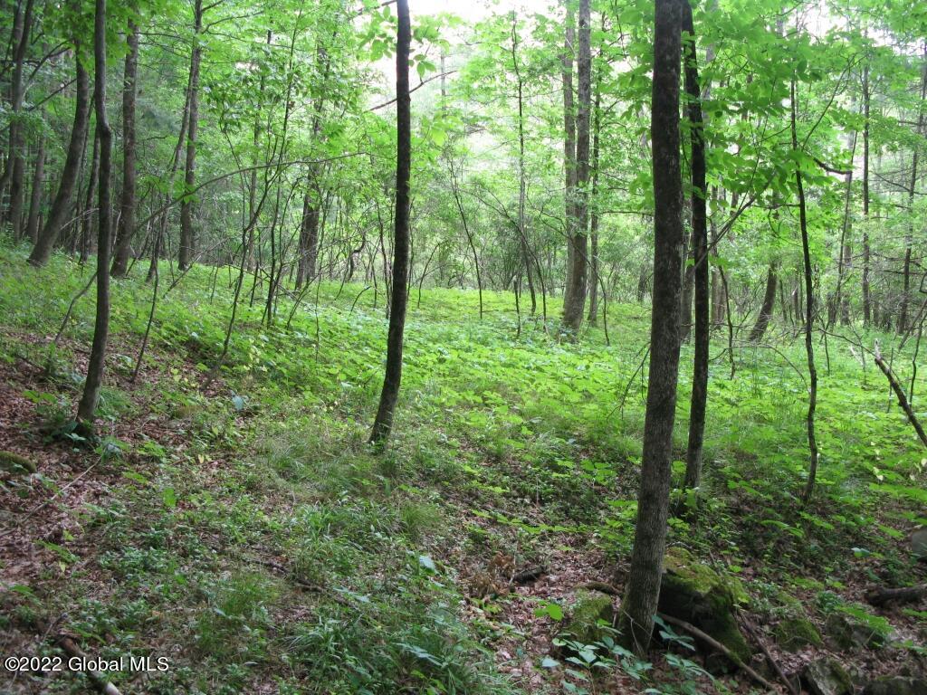 L23 Pleasant Valley Road Fultonham, NY 12071 - Photo 9 of 35 IMG_6013 (Medium)