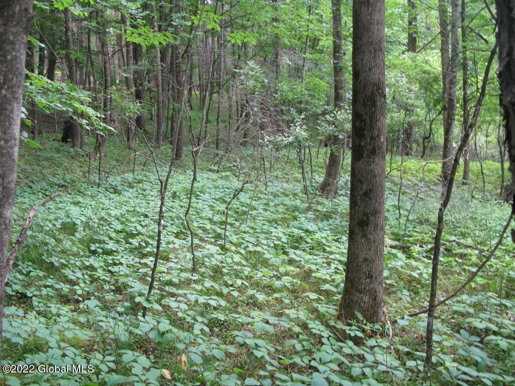 L23 Pleasant Valley Road Fultonham, NY 12071 - Photo 10 of 35 IMG_6014 (Medium)