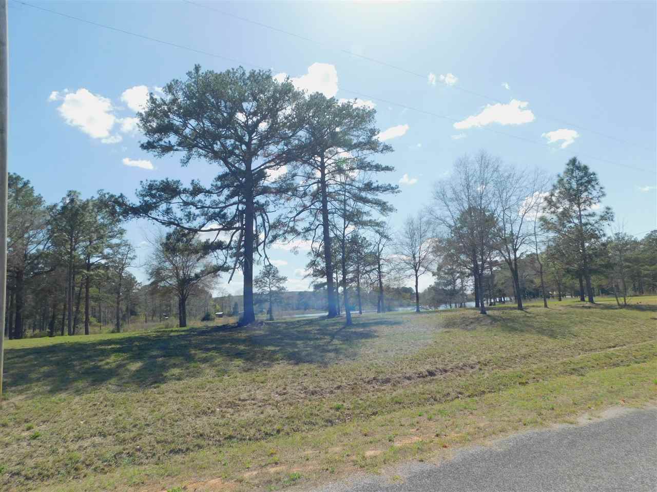 Lot 6 Fop Lodge Road Andalusia, AL 36421 - Photo 1 of 2 Gallery Image 1