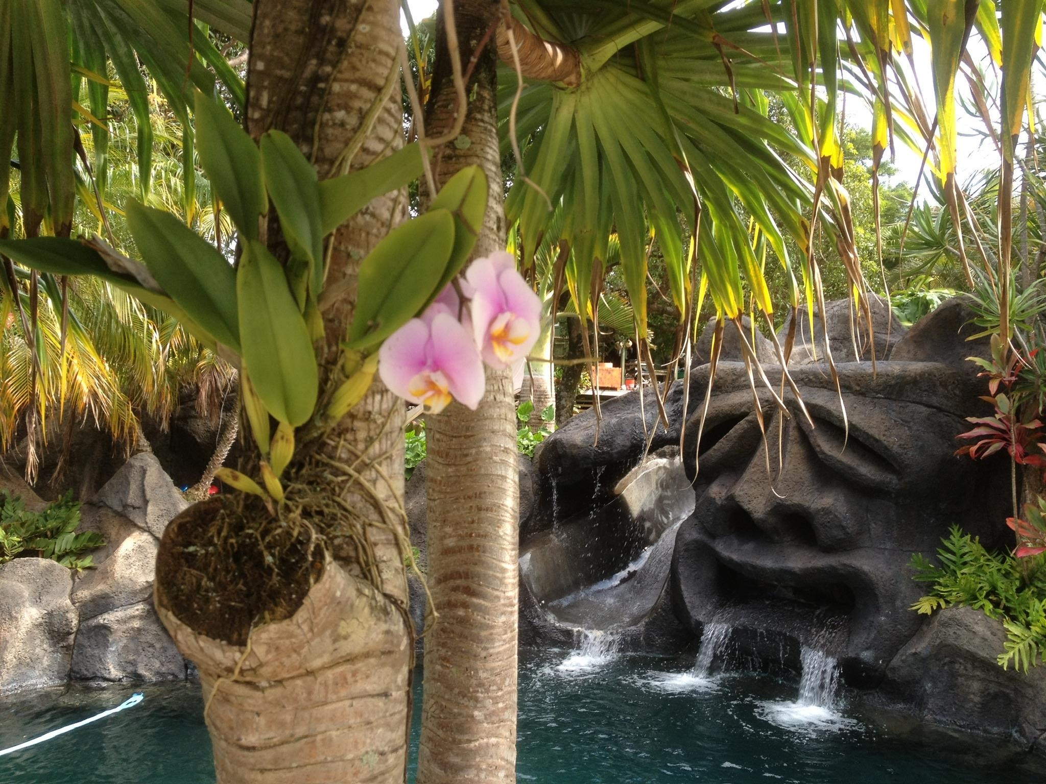 1780 Kauhikoa Road Haiku, HI 96708 - Photo 4 of 50