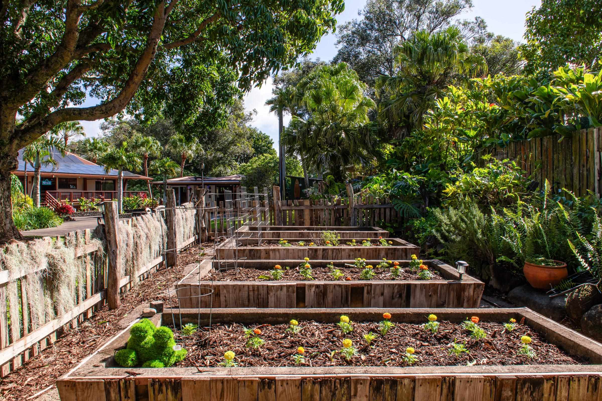 1780 Kauhikoa Road Haiku, HI 96708 - Photo 47 of 50