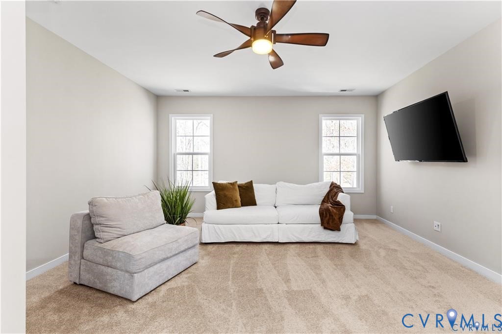 19620 Ahern Road Moseley, VA 23120 - Photo 32 of 50 Gallery Image 32
