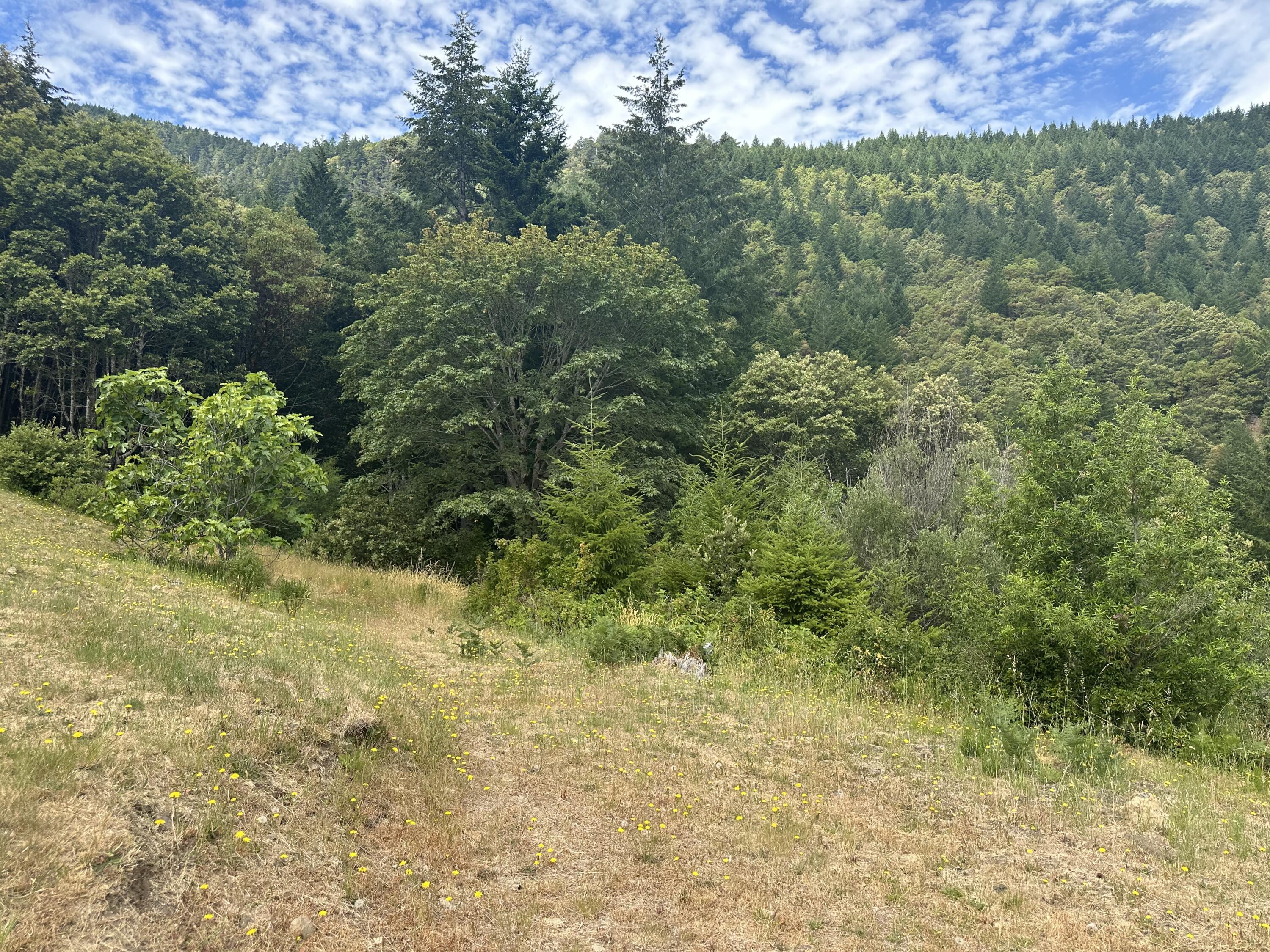 440 Cooskie Ridge Road Petrolia, CA 95558 - Photo 110 of 116