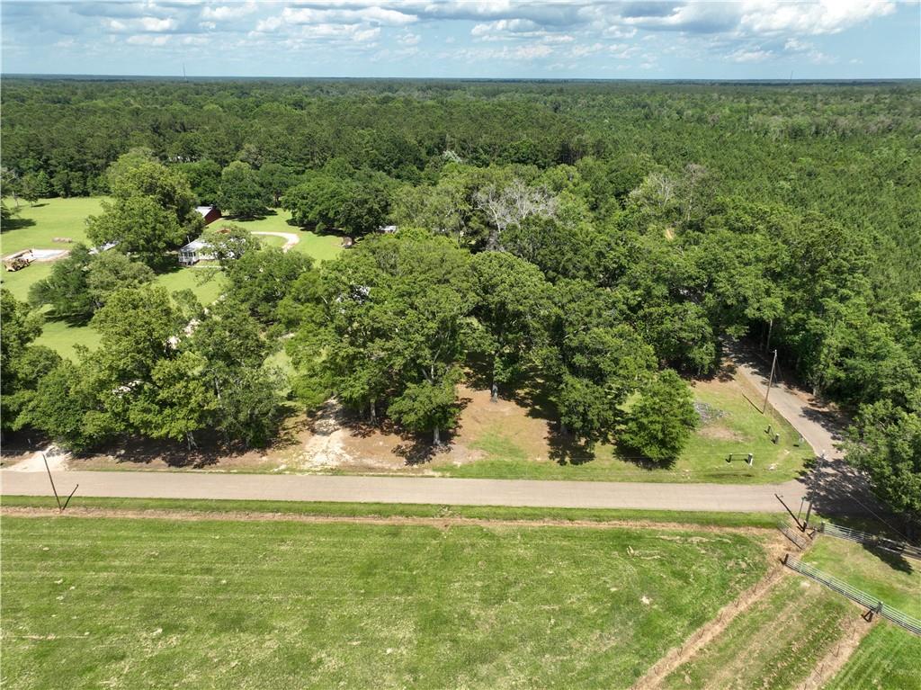 44270 Doc Hyde Road Robert, LA 70455 - Photo 4 of 5 Gallery Image 4