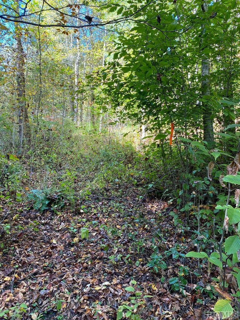 0 Old Lodge Road Topton, NC 28781 - Photo 8 of 14