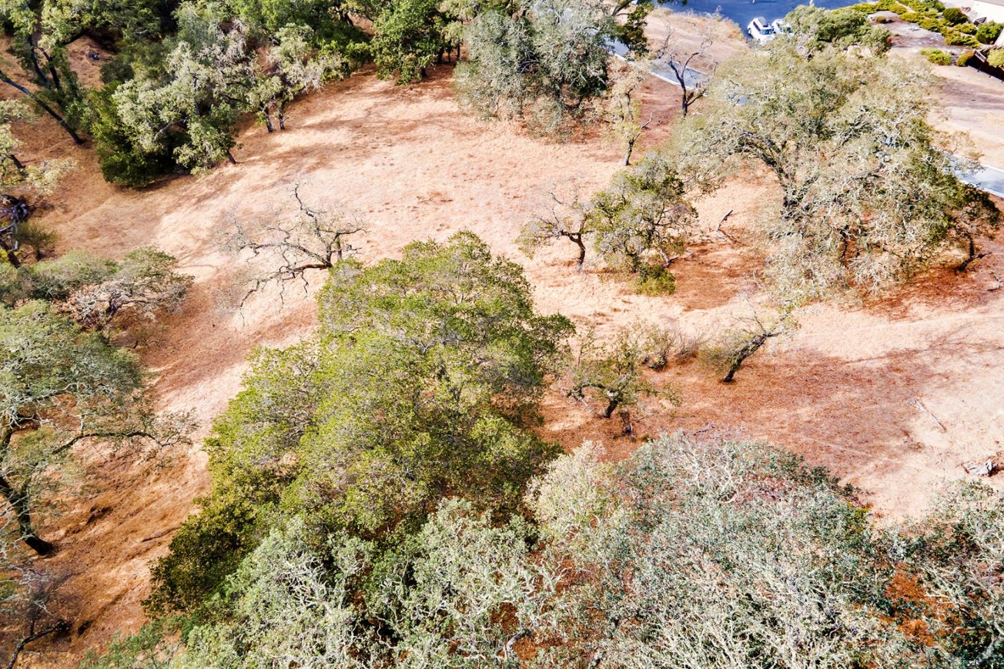 7251 Eagle Ridge Drive Gilroy, CA 95020 - Photo 20 of 21 a view of a yard with trees
