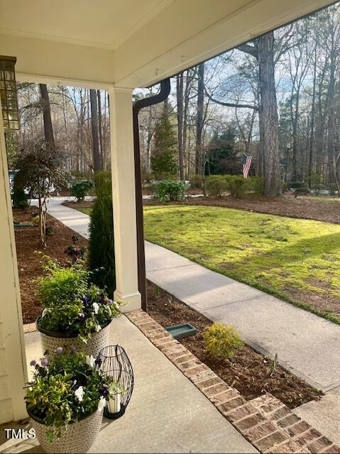 Front porch looking out to front yard