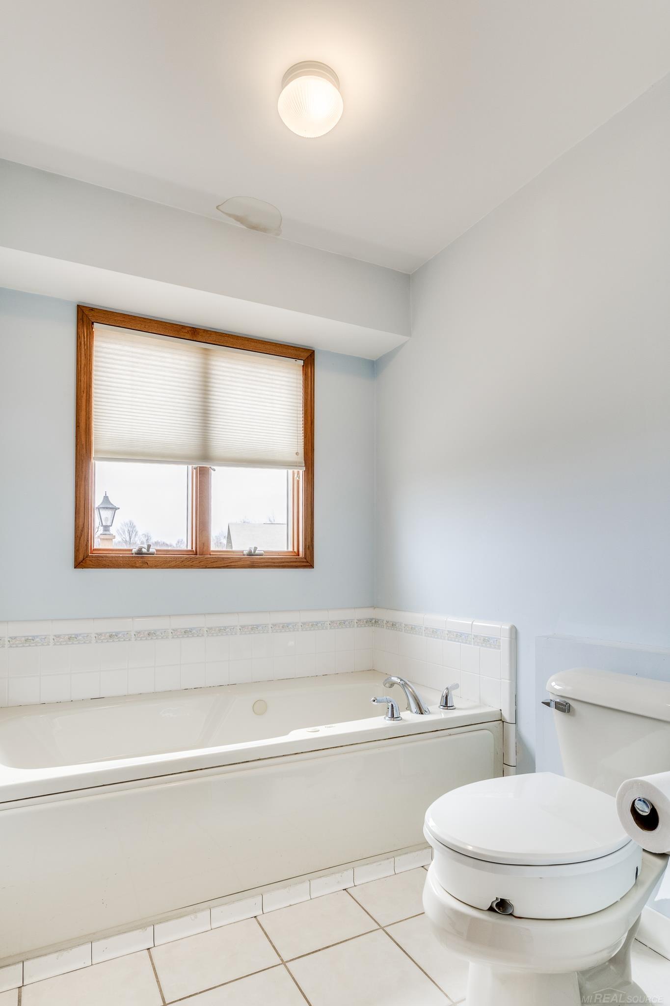 2829 Harneck Road Applegate, MI 48401 - Photo 37 of 77 Jetted Tub