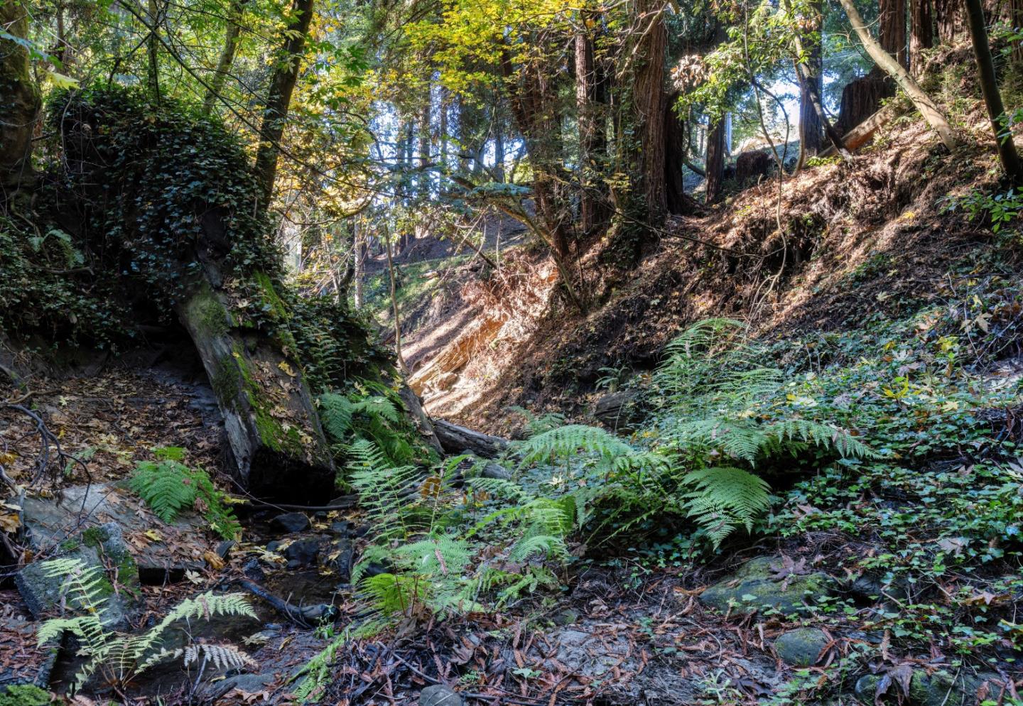 200 Hayward Road Aptos, CA 95003 - Photo 8 of 14 Gallery Image 8
