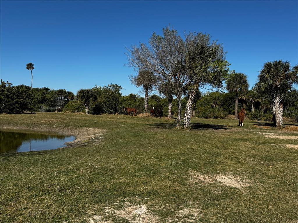 3100 Grant Line Road Mims, FL 32754 - Photo 16 of 17