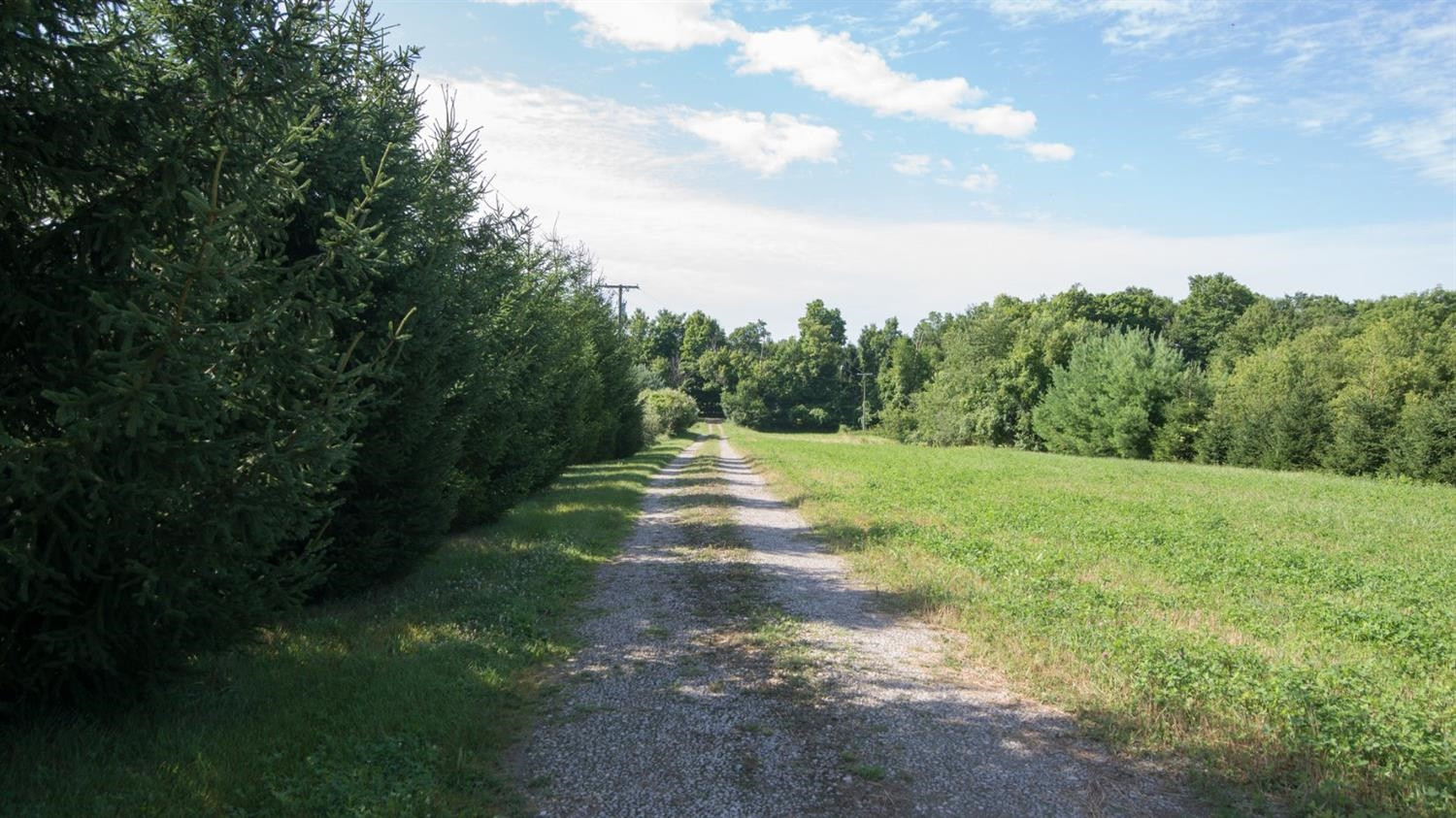 4840 Farrell Road Dexter, MI 48130 - Photo 54 of 68 Photo 54