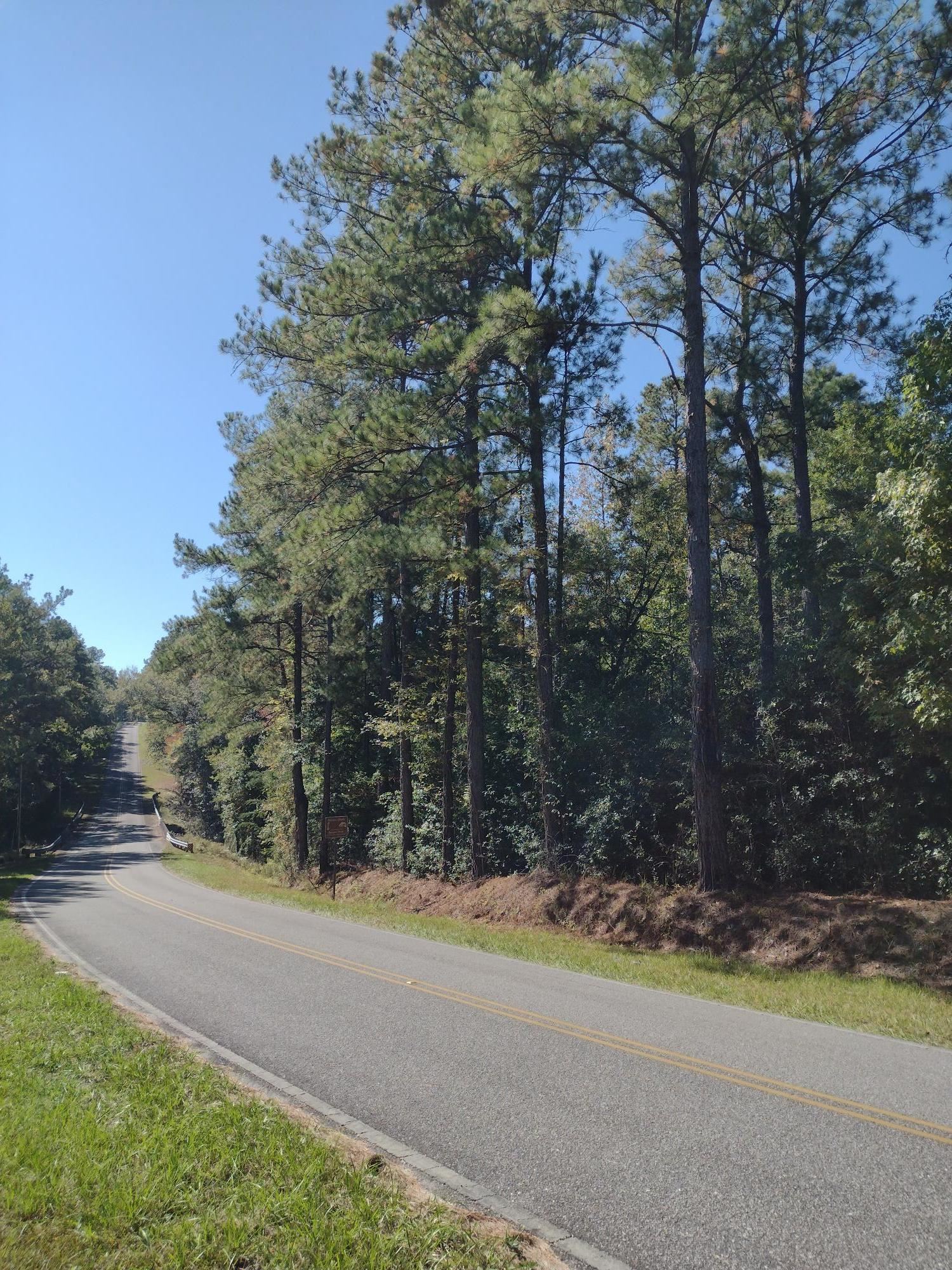 0 Canaan Road West Stockton, AL 36579 - Photo 1 of 12