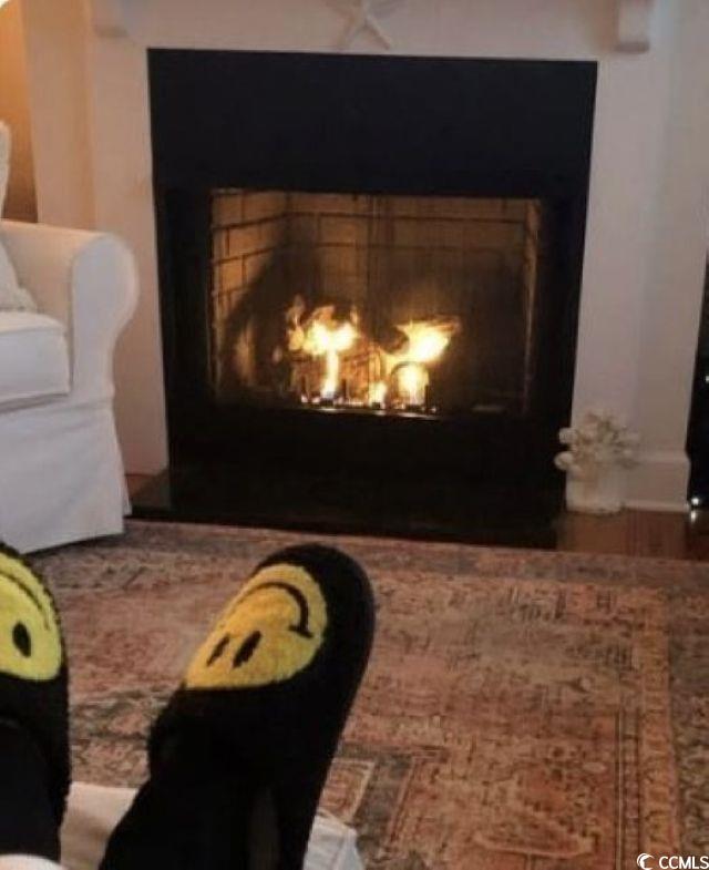 48 Lumbee Circle, Unit 8 Pawleys Island, SC 29585 - Photo 8 of 33 Detailed view of a lit fireplace