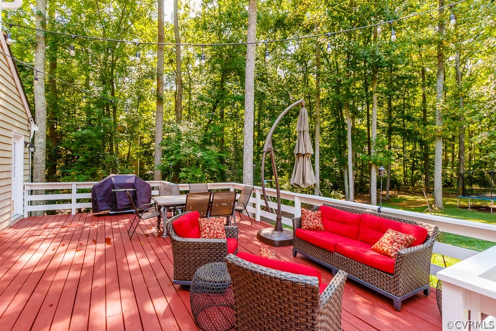 1131 Castle Hollow Road Midlothian, VA 23114 - Photo 35 of 41 Gallery Image 35