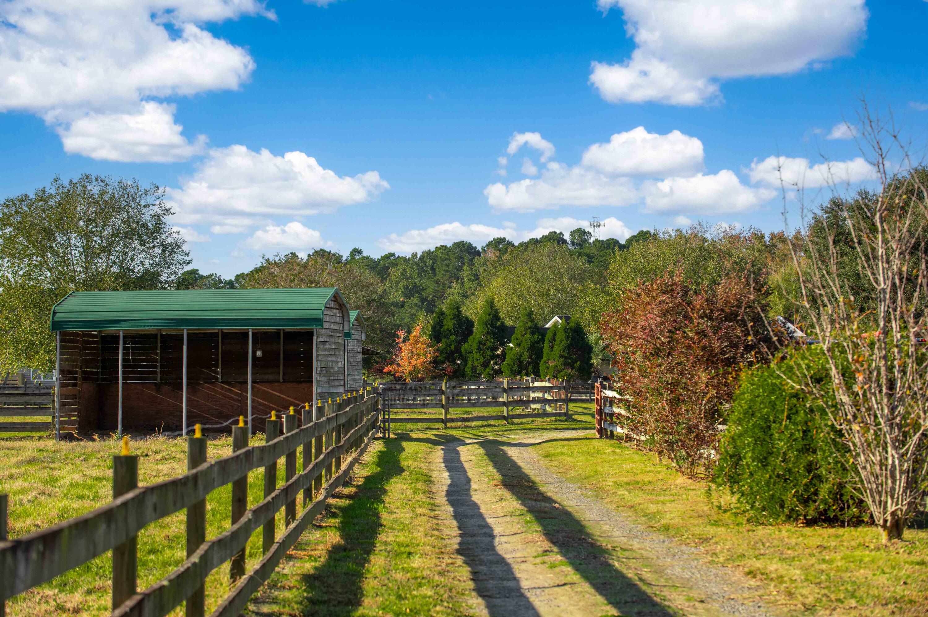 1156 State Rd S-8-376 Moncks Corner, SC 29461 - Photo 6 of 59 1156 Old Cherry Hill Rd-5