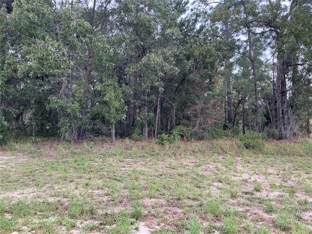 Southwest 134th Street Ocala, FL 34473 - Photo 1 of 1 a view of outdoor space with wooden fence and trees