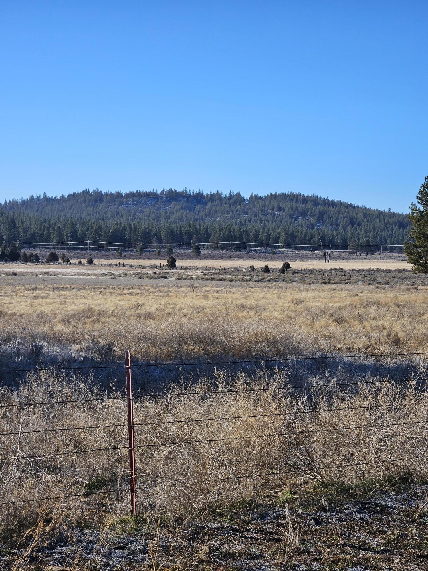 31747 Godowa Springs Road Beatty, OR 97621 - Photo 8 of 23 20260117_095858