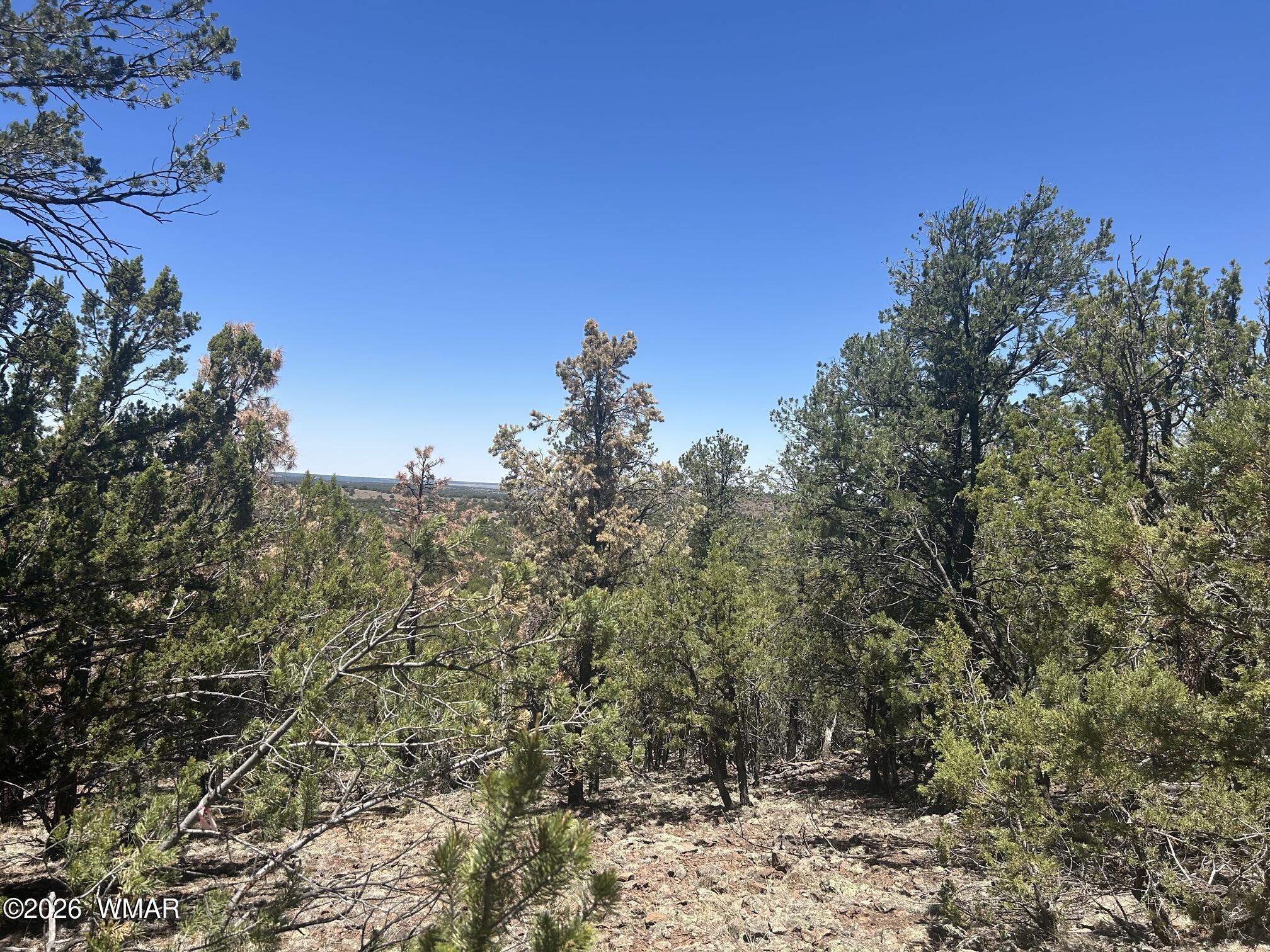 Tbd Tbd Vernon, AZ 85940 - Photo 14 of 21