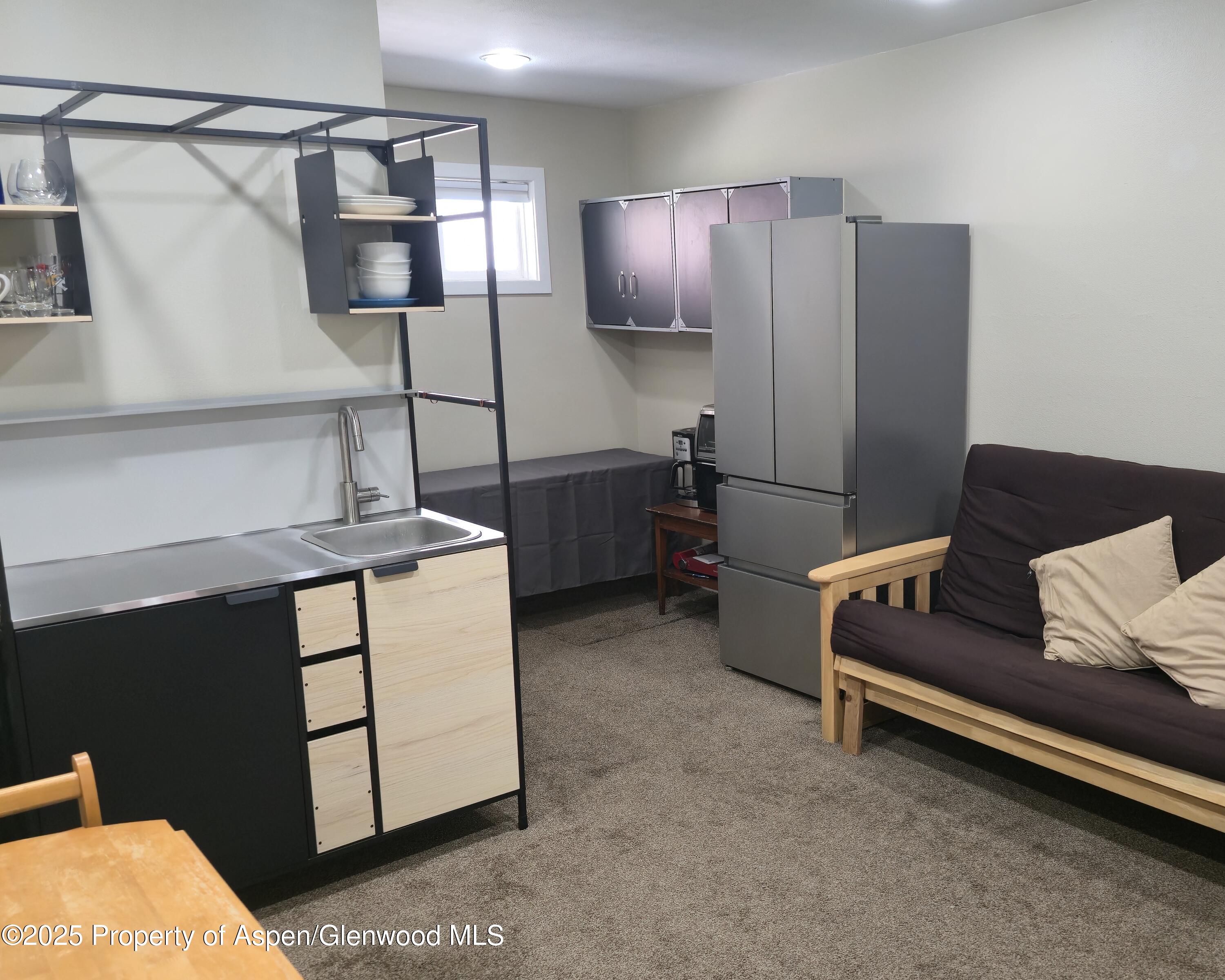 175 Midland Avenue, Unit 4 Basalt, CO 81621 - Photo 4 of 17 Downstairs 2