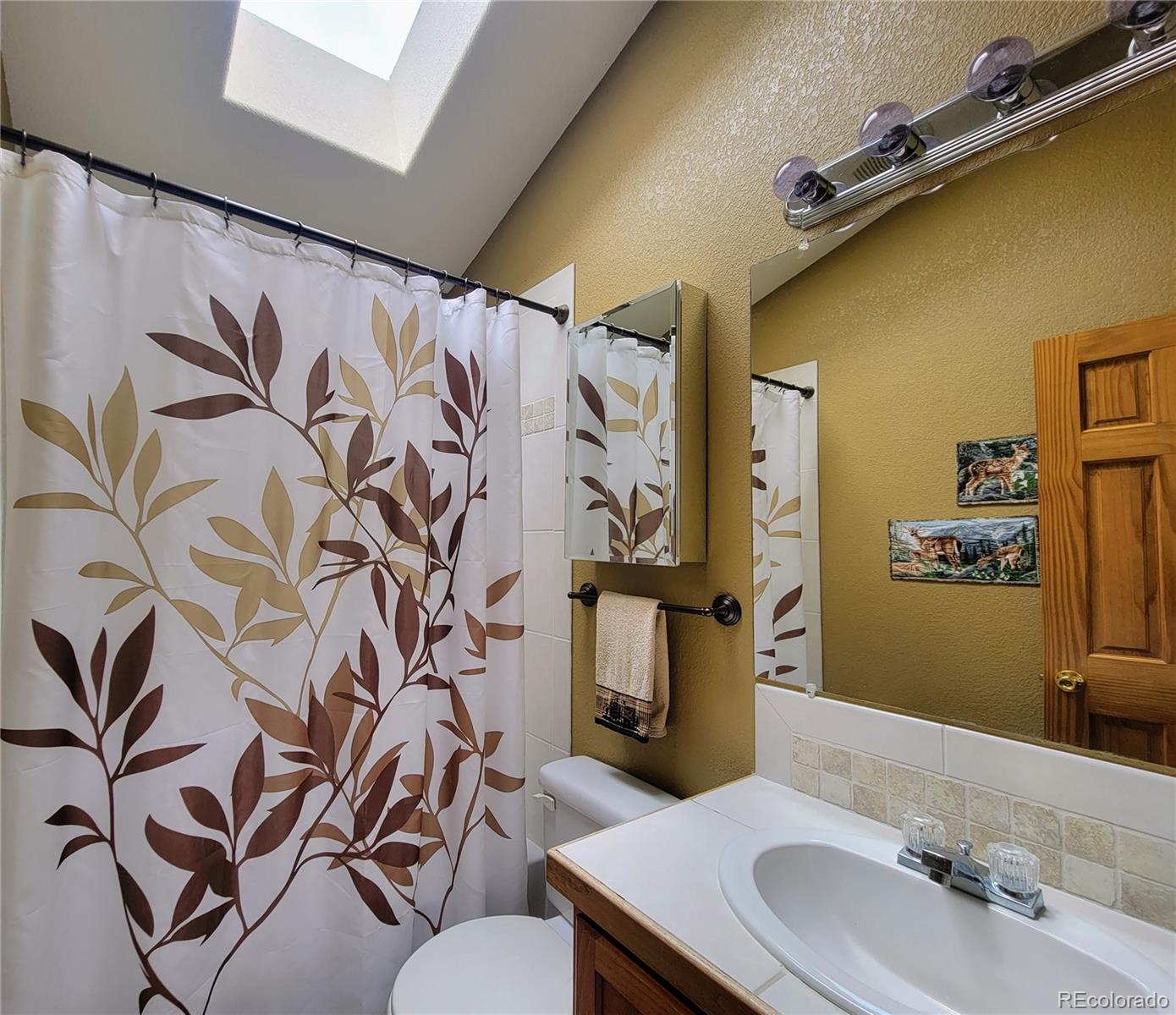 33348 Persistence Avenue Pine, CO 80470 - Photo 15 of 40 a bathroom with a sink and mirror with toilet