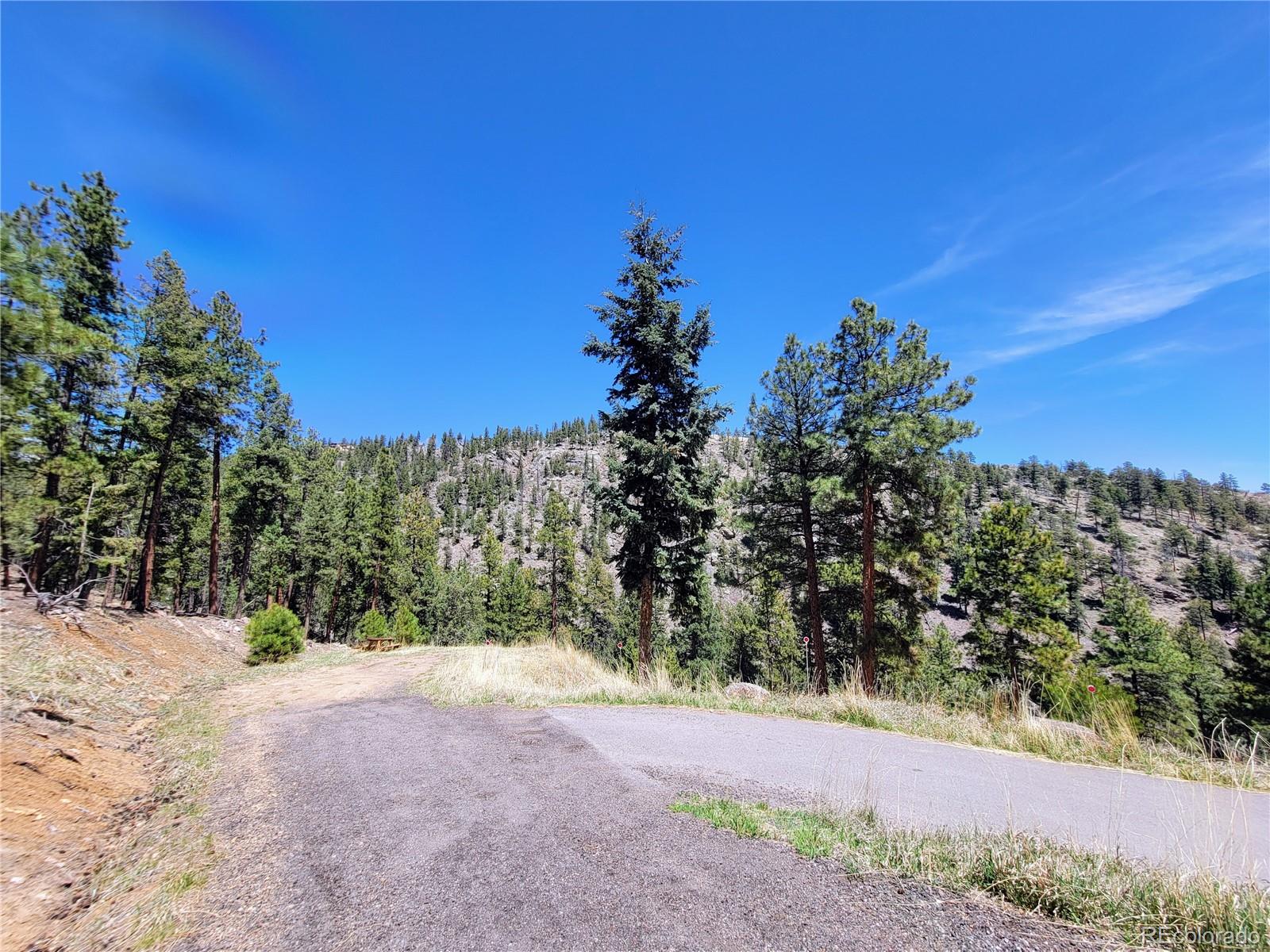 33348 Persistence Avenue Pine, CO 80470 - Photo 34 of 40 a view of a yard with a tree