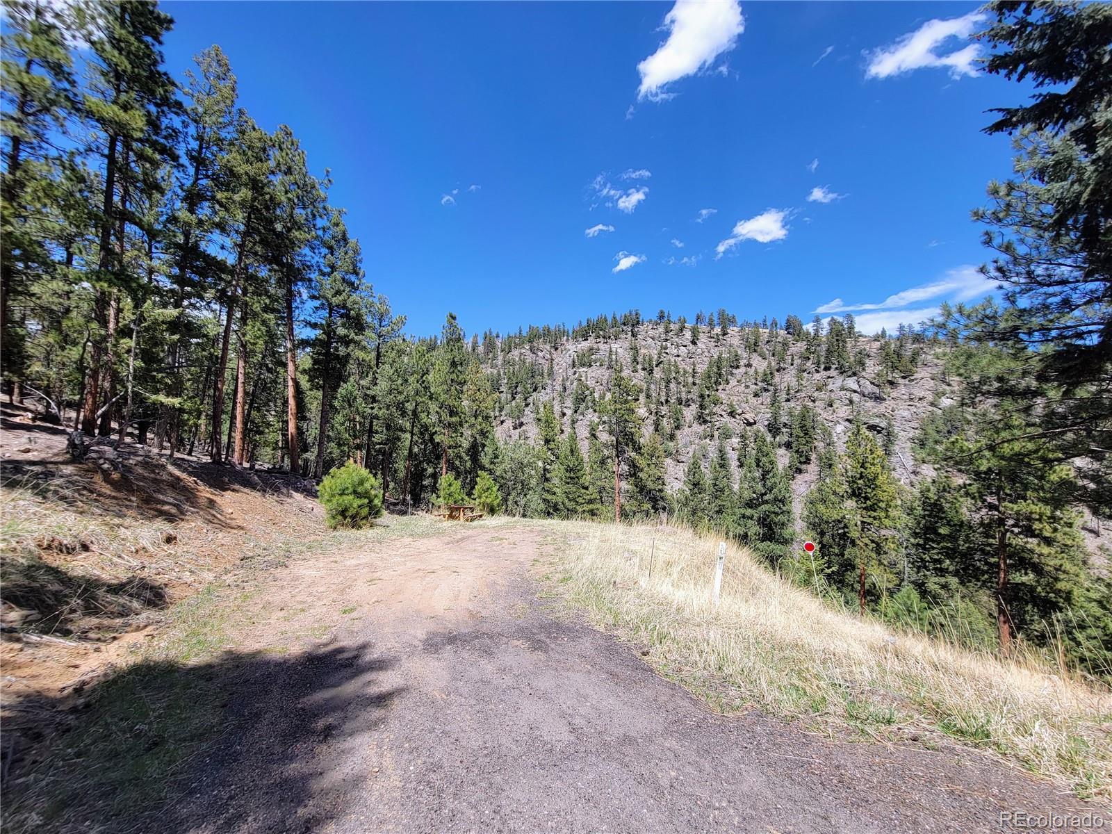33348 Persistence Avenue Pine, CO 80470 - Photo 35 of 40 a view of a dry yard with trees and bushes
