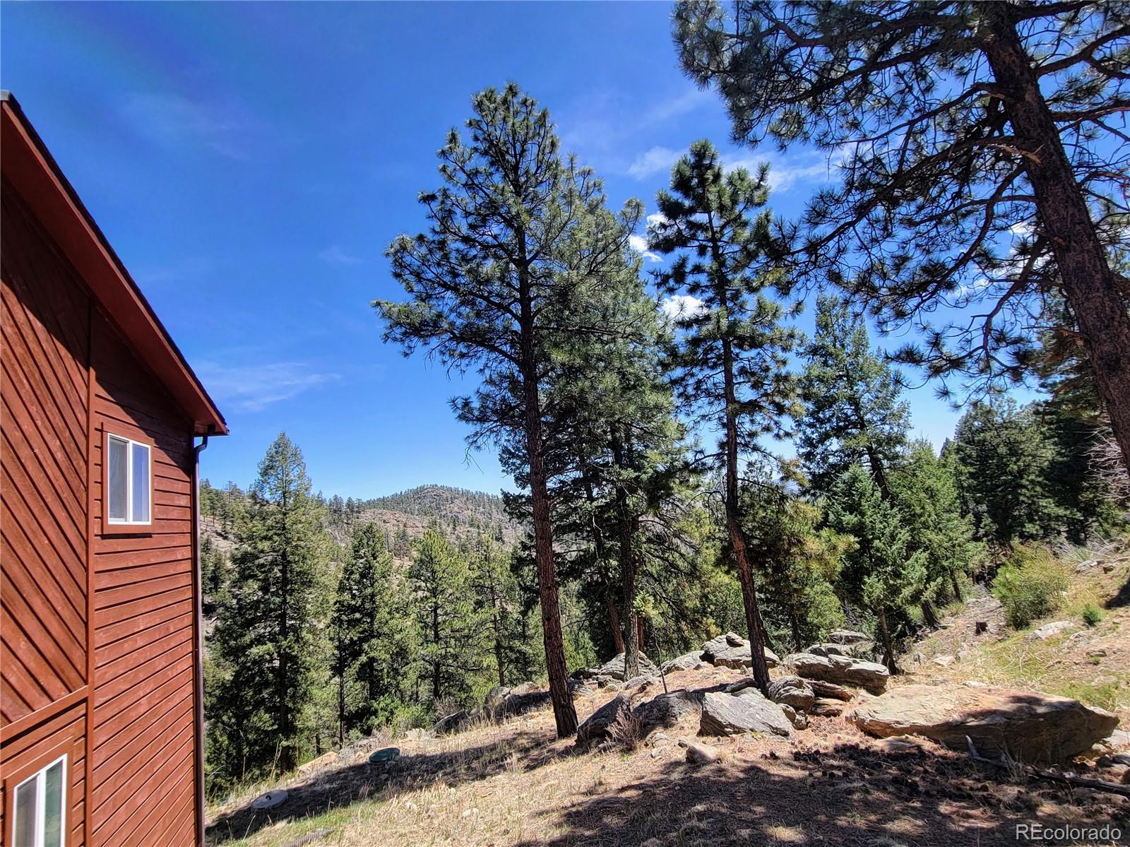 33348 Persistence Avenue Pine, CO 80470 - Photo 36 of 40 a view of a large building with a tree