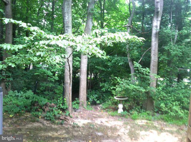 1358 Heritage Oak Way Reston, VA 20194 - Photo 13 of 30 View