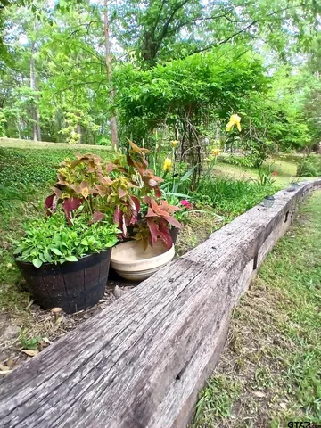 a view of a garden with potted plants