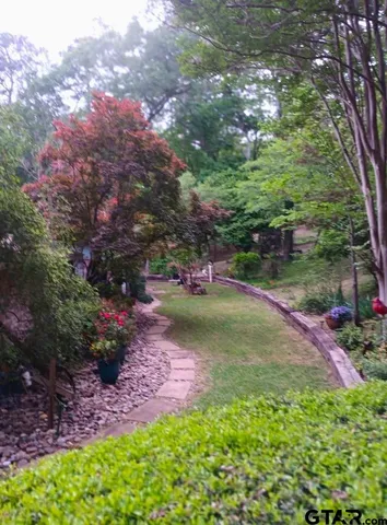 a view of a park with large trees