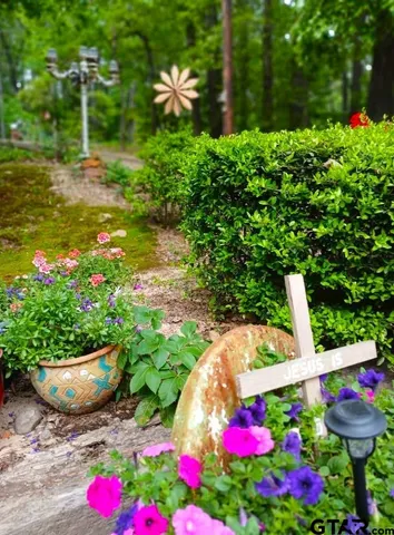a view of a backyard with plants