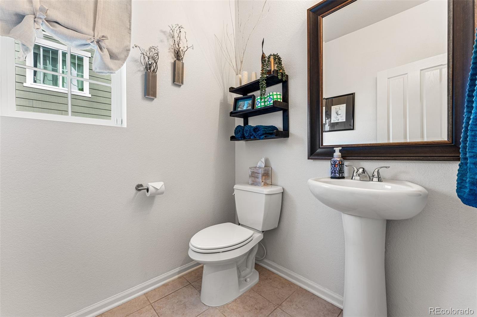 3275 Starry Night Loop Castle Rock, CO 80109 - Photo 14 of 39