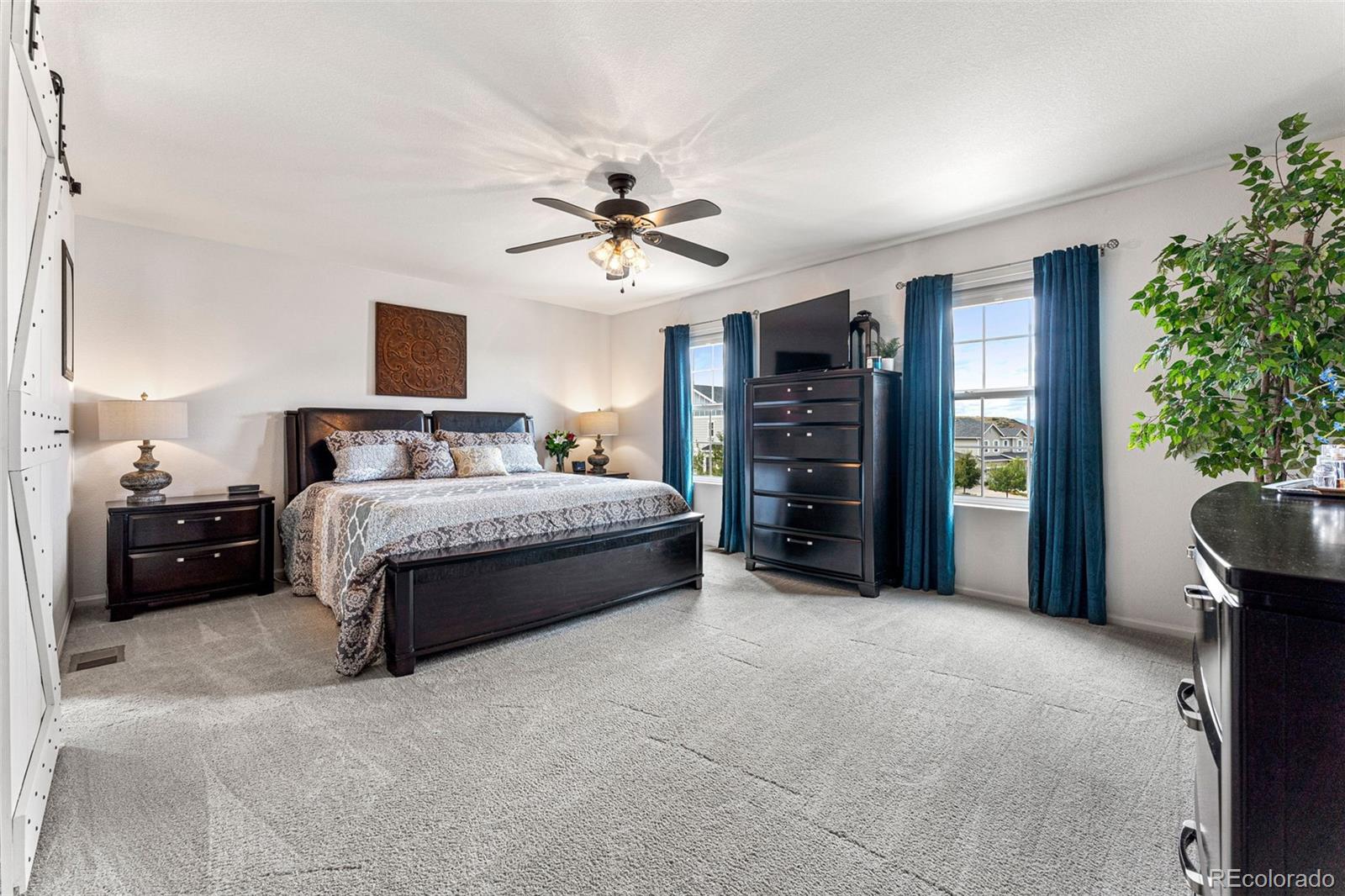 3275 Starry Night Loop Castle Rock, CO 80109 - Photo 15 of 39
