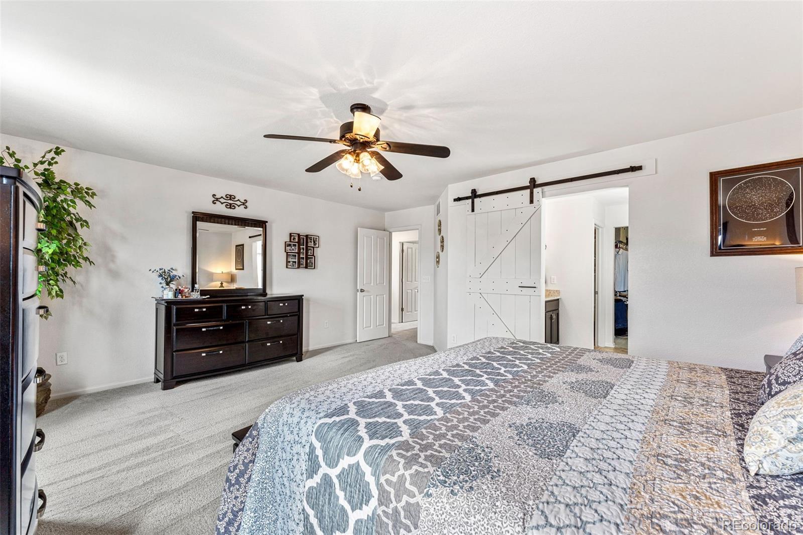 3275 Starry Night Loop Castle Rock, CO 80109 - Photo 18 of 39