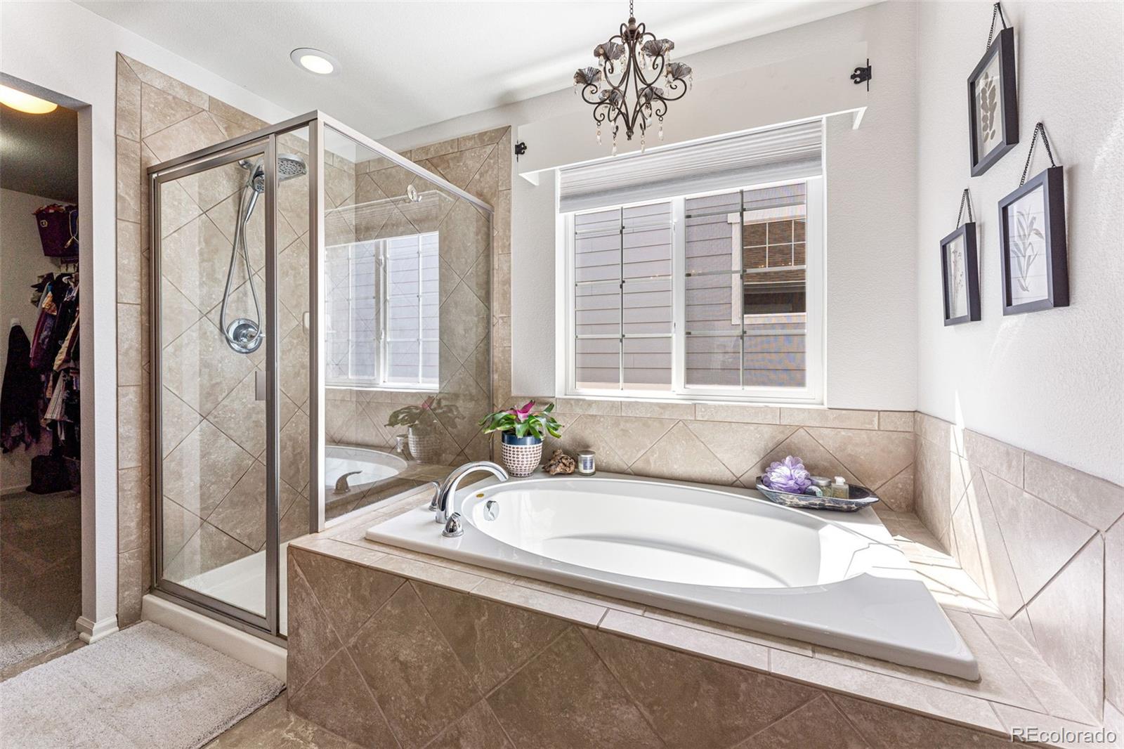 3275 Starry Night Loop Castle Rock, CO 80109 - Photo 20 of 39