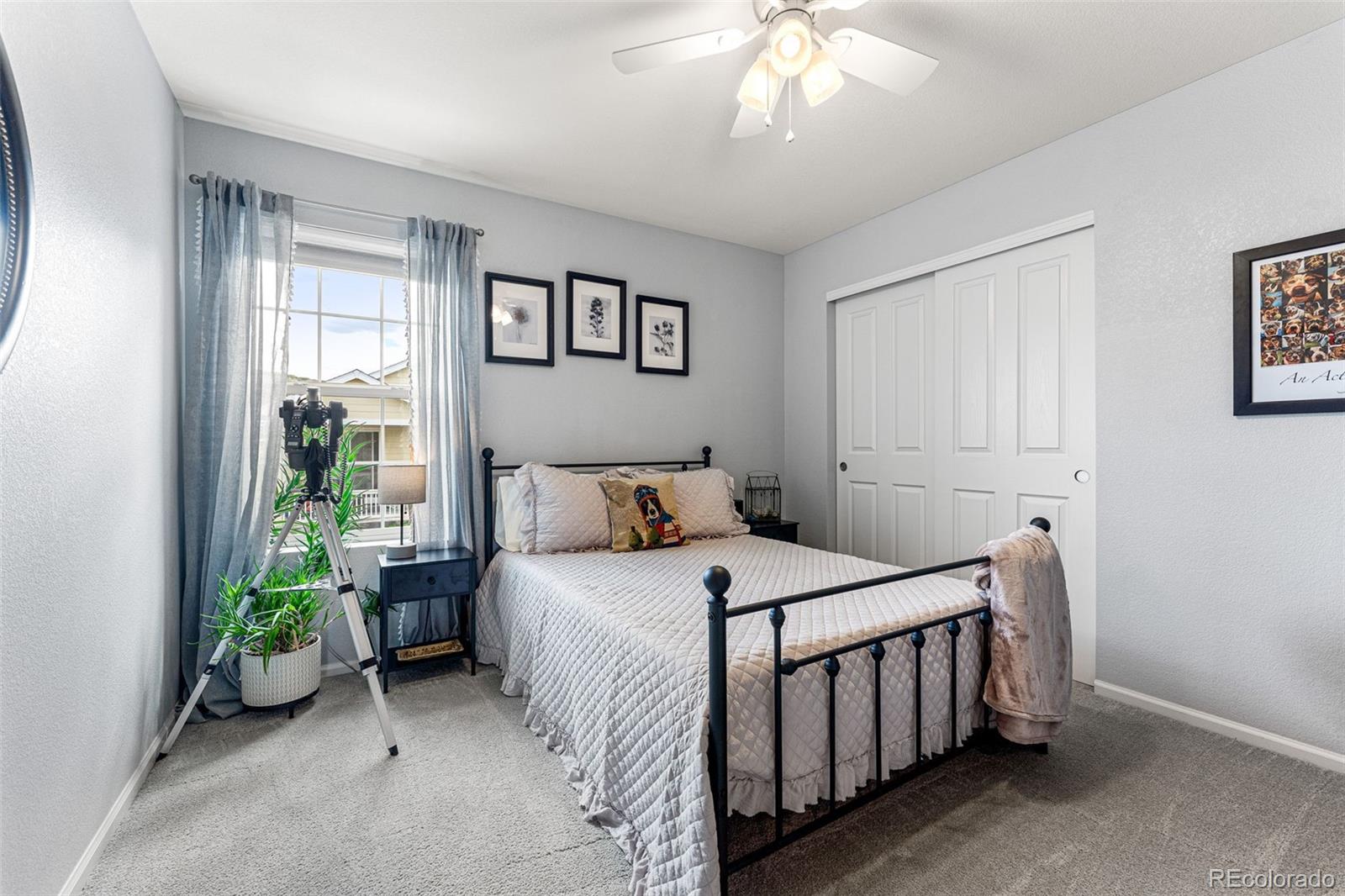 3275 Starry Night Loop Castle Rock, CO 80109 - Photo 23 of 39