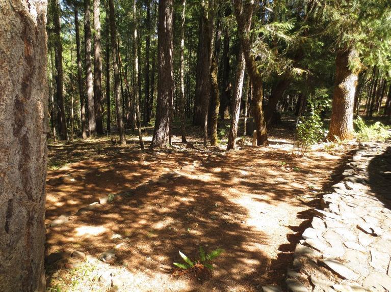 1680 Marcy Loop Road Grants Pass, OR 97527 - Photo 33 of 35 Additional Photo