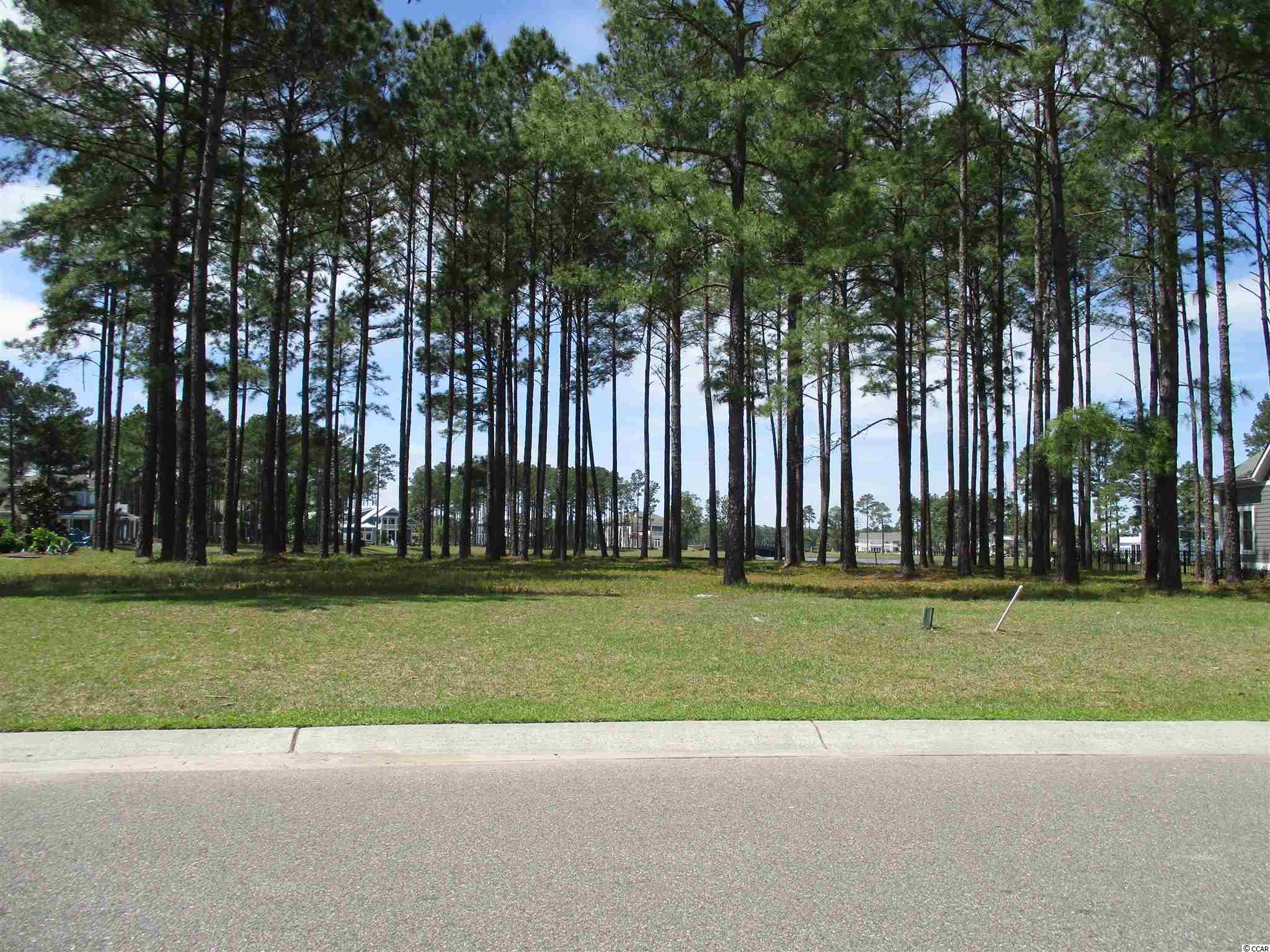 919 Fiddlehead Way Myrtle Beach, SC 29579 - Photo 1 of 21 Gallery Image 1