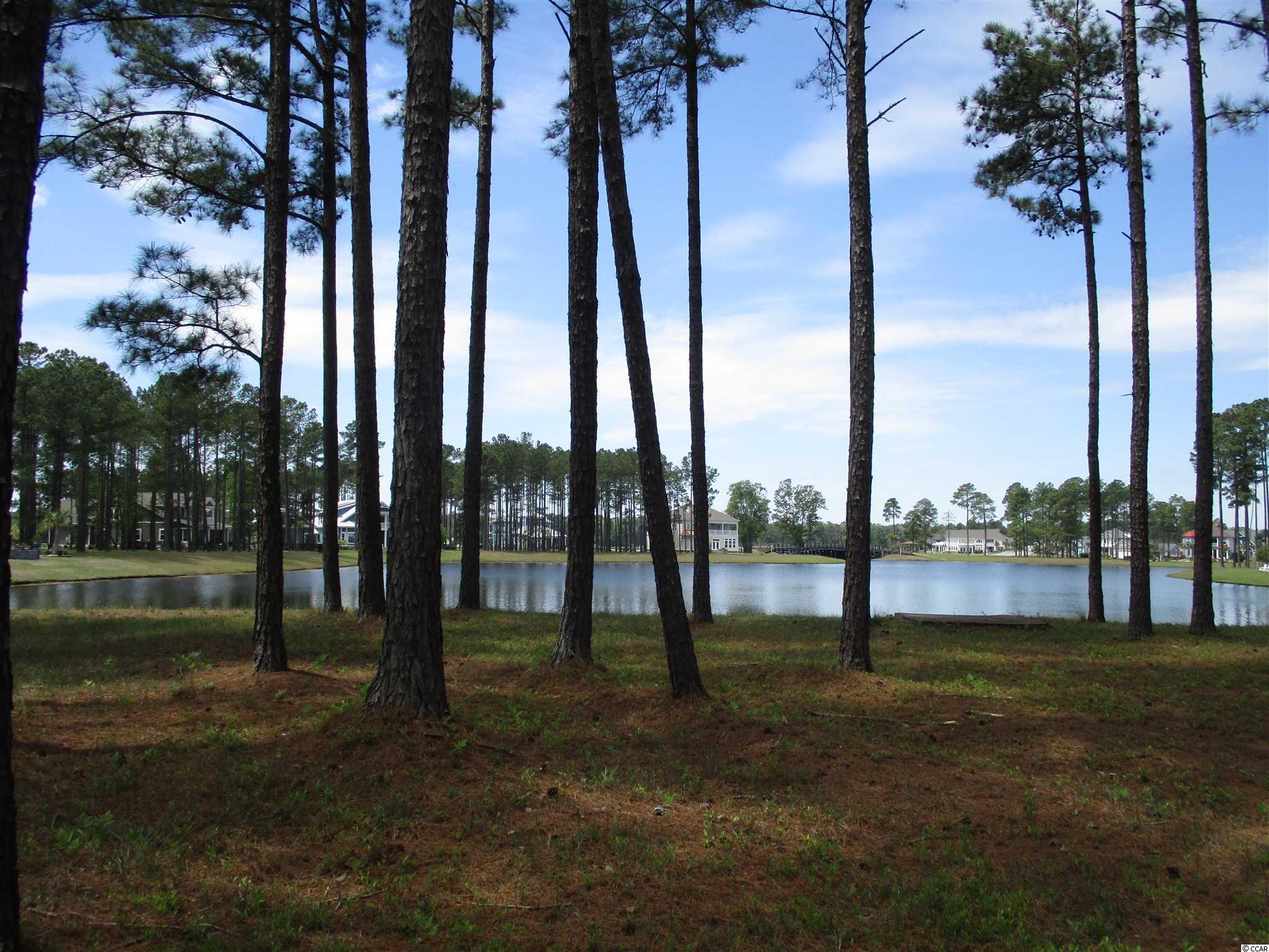 919 Fiddlehead Way Myrtle Beach, SC 29579 - Photo 2 of 21 Gallery Image 2