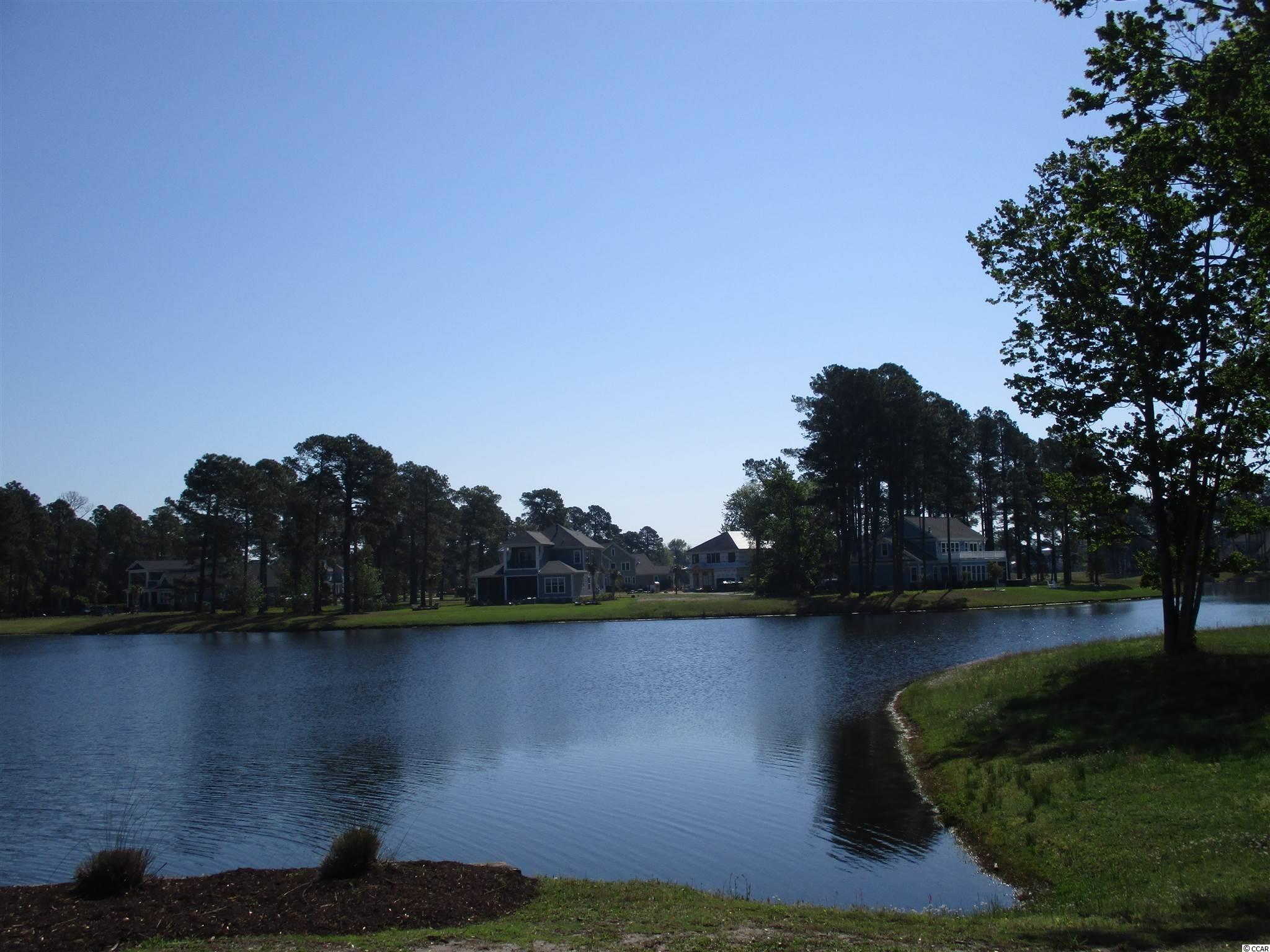 919 Fiddlehead Way Myrtle Beach, SC 29579 - Photo 16 of 21 Gallery Image 16