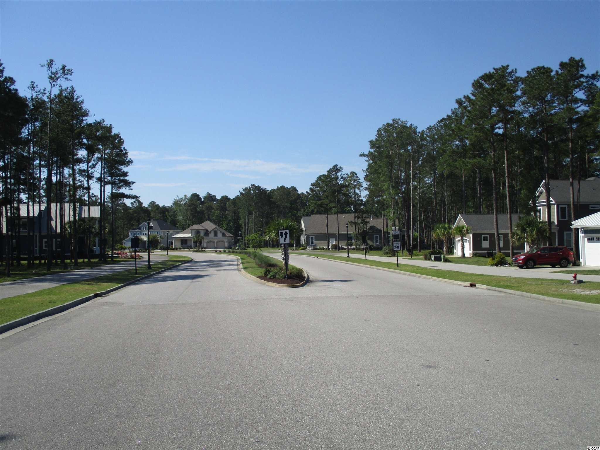 919 Fiddlehead Way Myrtle Beach, SC 29579 - Photo 18 of 21 Gallery Image 18